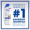 Head & Shoulders Dry Scalp Care Dandruff Shampoo 420 ml