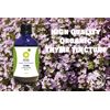 Organic Herbal Remedies 100 ml Thyme Tincture