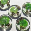 Real Four Leaf Clover Good Luck Pocket Token, Preserved, 1.25” (Including Metallic Lock and Key Objects)