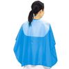 brasicattleya sukattokurosu DX 9100 Blue
