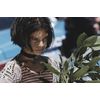 レオン 完全版/オリジナル版 4K UHD+Blu-ray(4枚組)