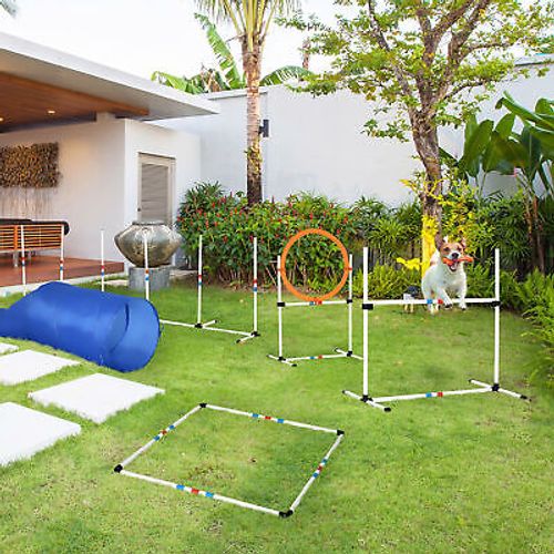 Outdoor Dog Pet Agility Training Equipment Backyard Starter Course Set
