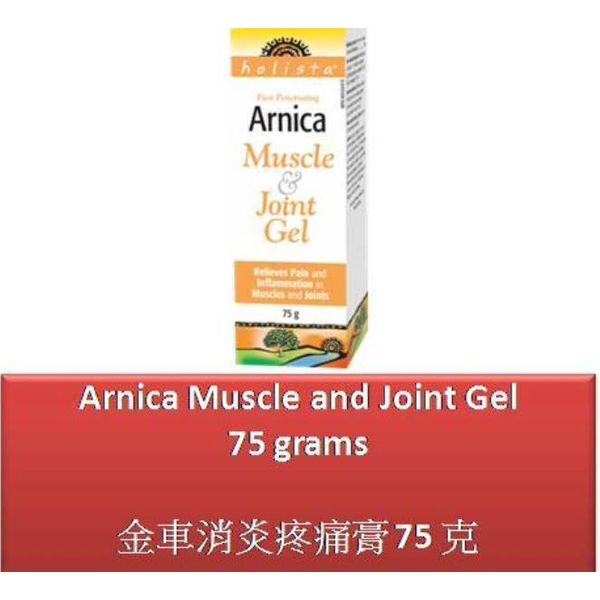 75 G Arnica Muscle and Joint Gel - Holista