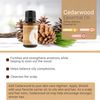 Rocky Mountain Oils Cedarwood Essential Oil - 100% Pure & Natural Aromatherapy Grade | Topical Oil for Hair Care and Skin Care, | Ideal for Diffusers, Massage & DIY Products | 15ml Bottle