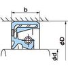 NOK TC40558 Oil Seal TC Type Nitrile (NBR)