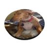 Meme Side Eye Dog PopSockets with Interchangeable PopGrip