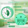60 Minutes Visual Timer for Kids, Classroom, Kitchen, Gym & Tea - ADHD Timer (Green)