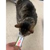 3D printed Cat strip squeeze spoon