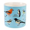 Rex London Ceramic Mug 350ml - Garden Birds
