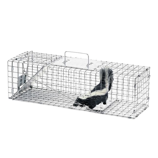 Havahart 1083 Catch and Release Small 1-Door Easy Set Humane Live Animal  Trap for Squirrels, Rabbits, Skunks, and Other Small Animals