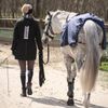 BUSSE Rain 50 Lunging Blanket