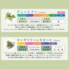 Essential Oil Set (Cold Season Defense Set)