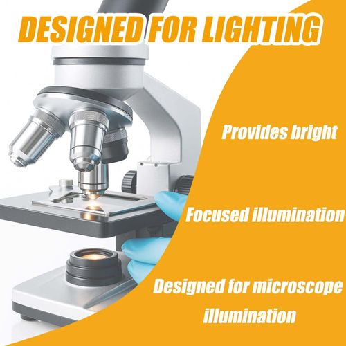 SANJOON 6V 20W G4 Bi-Pin Halogen Bulbs for Microscopes,Replacement Light Bulbs for Heavy Machinery, Marine Equipment, Train Cabins Lighting(2PCS)