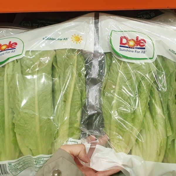 Costco Domestic Romaine Hearts 4 or 6 Packs, Packed with Ice Packs