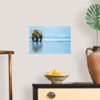 CANVAS ON DEMAND Brown Bear, Lake Clark, Alaska Wall Decal, Bear Artwork