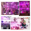 bseah Grow Light Plant Light Indoor Plants (4-Head)