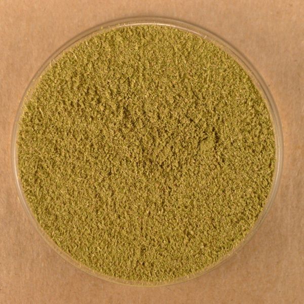 Savory, Ground - 3.5 oz Stovetop Shaker Jar