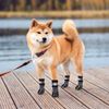 KOOLTAIL Dog Socks Anti Slip with Straps Traction Control Waterproof Paw Protector (Grey, Medium)
