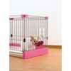 Richell Water Dish , safety pink