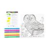 Royal and Langnickel Canvas Art Markers Kit - Owl