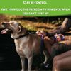 Maximum Pet Products Dog Training Lead (80ft/24m, Red)