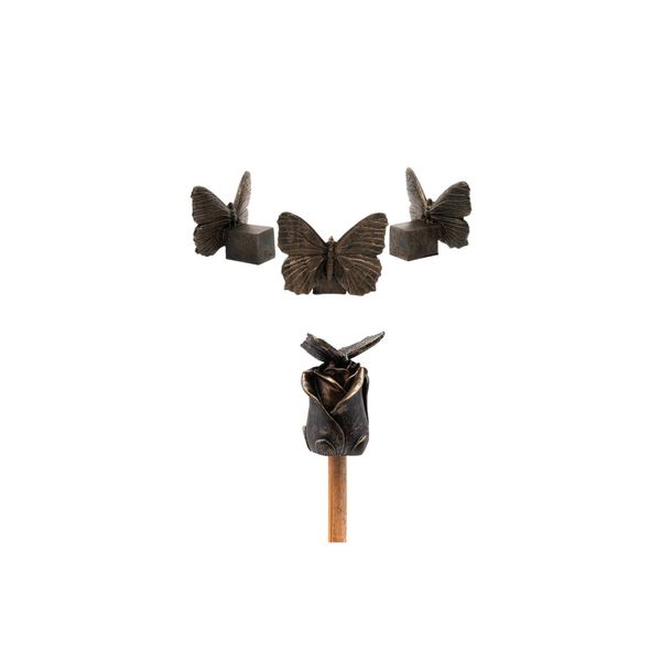 Potty Feet Butterfly and Cane Companion Bundle Set