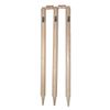 Aero Quick Tech Ash Stumps (Junior)