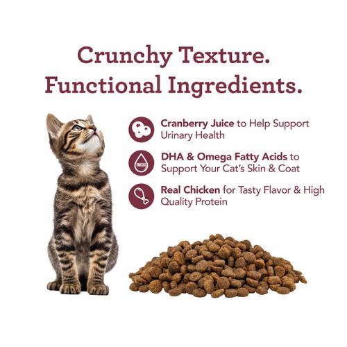 Get Naked Urinary Cat Health Treats with Cranberry & Real Chicken 6oz | Crunchy, Grain-Free, Natural Urinary Tract & Dental Care | Supports UT Support & Fresh Breath | Made in The USA