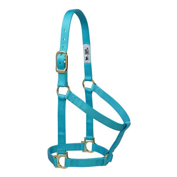 Weaver Leather Basic Non-Adjustable Nylon Horse Halter, Turquoise, 1" Large Horse