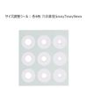 [2nd-Class OTC Drug] Spiel Plaster One Touch EX SPAL 12 Sheets