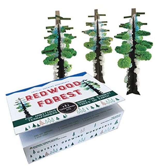 Copernicus Toys Crystal Growing Redwood Forest