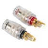 fasient1 Speaker Connection Binding Post Socket, 4 mm Binding Post Banana Plug Socket Amplifier Speaker Banana Jack Connection Socket Pack of 10