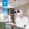 DEWENWILS 8-Pack A19 LED Light Bulbs 5000K Daylight LED Light Bulbs,Non Dimmable
