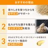 サントリー セサミンEX ごま オリザプラス セサミン ビタミンE サプリメント サプリ 90粒入/約30日分