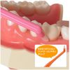 Oral Care P-Cure 1 Piece Long Soft LS Pink