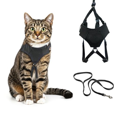 A1HC Escape Proof Cat Harness and Leash - Soft Adjustable Vest, Comfortable Mesh and Long Strips with Air Tag Pocket, Easy Control, Safe Walking Harness for Cats & Kittens - Black (Small)