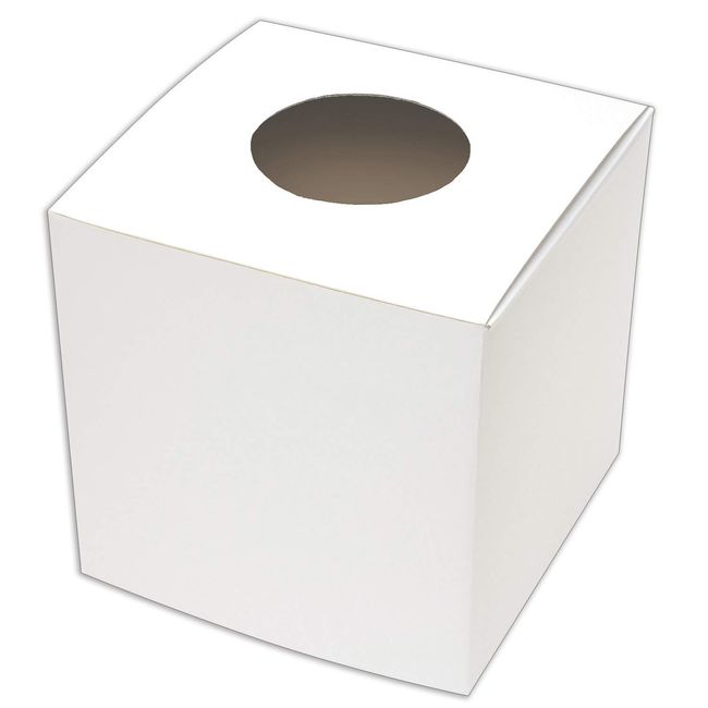 Sasagawa Big Lottery Box, White, Large Size, 10.6 inches (27 cm) Square, 37-7916