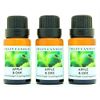 Crazy Candles Apple & Oak 3 Bottles 1/2 Fl Oz Each (15ml) Premium Grade Scented Fragrance Oil (Granny Smith Apples, Mcintosh, Oak Leaves and Oak Moss)