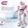 Smart RC Robot Toy Talking Dancing Robots for Kids Remote Control Programmable
