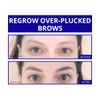 ADVANCED BROW SERUM Peptide Growth Serum for FULLER, THICKER, SHAPLIER Eyebrows