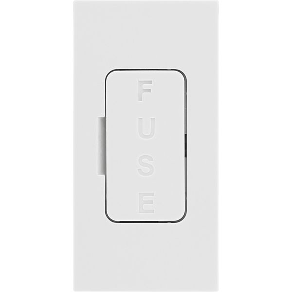 BG EMFUSEW Euro Module 13A Fused Module - White