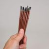 Drosophila Sorting Brush, Pack 12