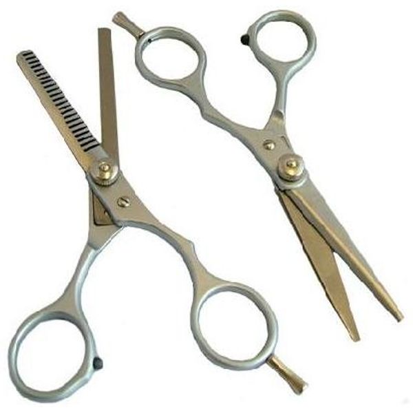 Electromart Professional Stainless Steel Hairdressing Scissors Set