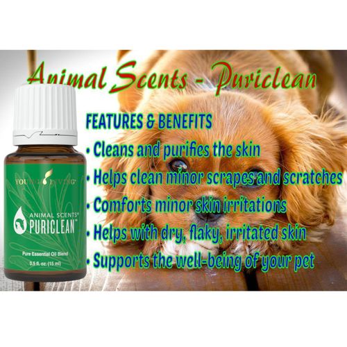 Young Living - Animal Scents PuriClean 15 ml | Pet First Aid, Skin Care & Natural Recovery | Wound Healing | Moisturizer for Pets & Dry Relief | Pet-Friendly Essential Oils