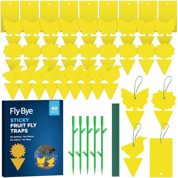 Fly-Bye - 40x Sticky Fruit Fly Traps - Fruit Fly Paper - Fruit Fly Papers Indoors - Fruit Fly Killer - Fungus Gnat Killer - Sticky Gnat Trap - No Poison/Odour or Mess - Value 40 pack