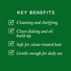 Shampoo by Philip Kingsley Flaky Itchy Scalp Shampoo 75ml