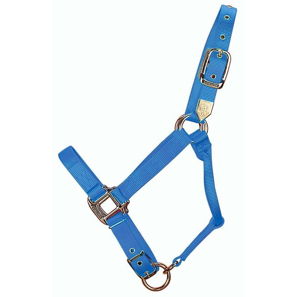 Hamilton 1-Inch Nylon Adjustable Quality Horse Halter with Adjustable Chin, Small Size