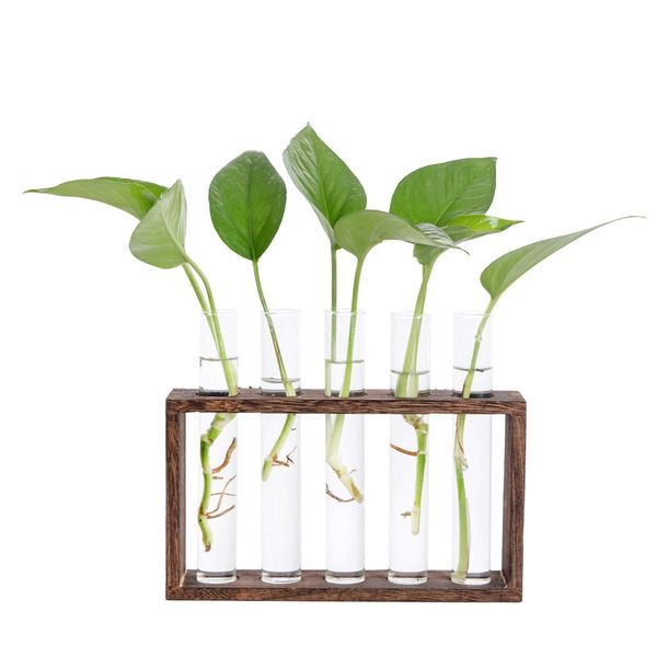 Hyindoor Desktop Glass Planter Propagation Station Wall Mounted Hanging Test Tube Vase with Wooden Stand Rack Terrarium Planter for Hydroponic Plants Cutting Office Home Decoration