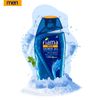 Fiama Di Wills Men Refreshing Pulse Shower Gel, 250ml