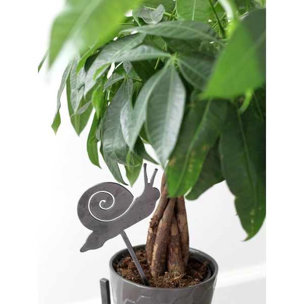 Snail Plant Stake